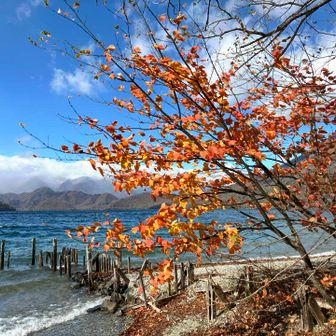 途中きれいな紅葉🍁があったので湖畔に下りて📸
💙🤍🧡
中禅寺湖も強風で波立ってます💦
今日は強風で遊覧船も運休みたいです。