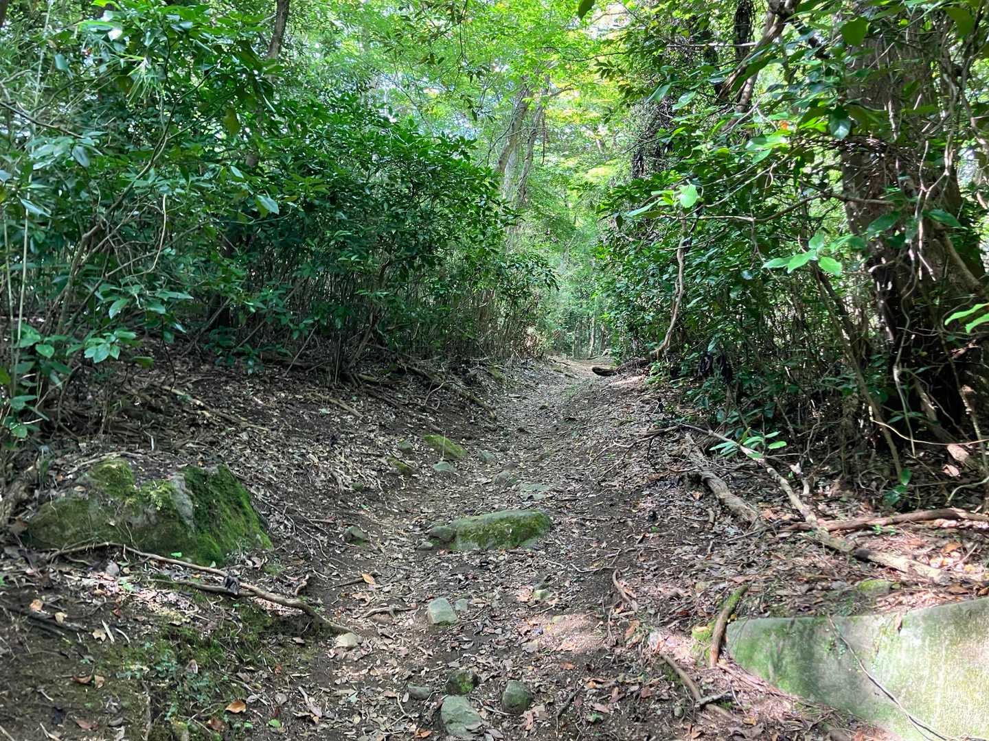 終始眺望は無いが、迷路感があり良き。