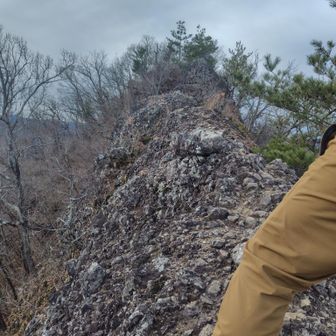 岩の尾根、ビクビクしながら戻ります