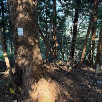 神社の奥に三角点と、山頂標識（手作り）を発見💡

スッキリ😆