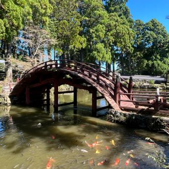 朝熊岳金剛證寺　連間の池　太鼓橋
朝熊岳金剛證寺の境内でまず目を引く、印象的な大きな池と赤い太鼓橋