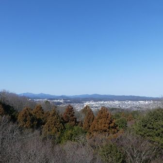 桜山展望台から