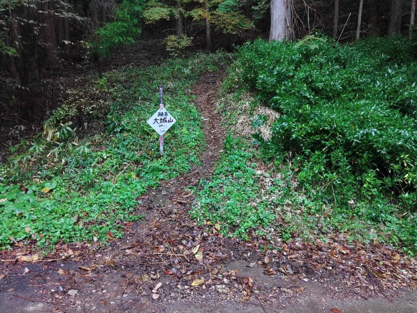 大城山登山口-大城山 往復コースの写真