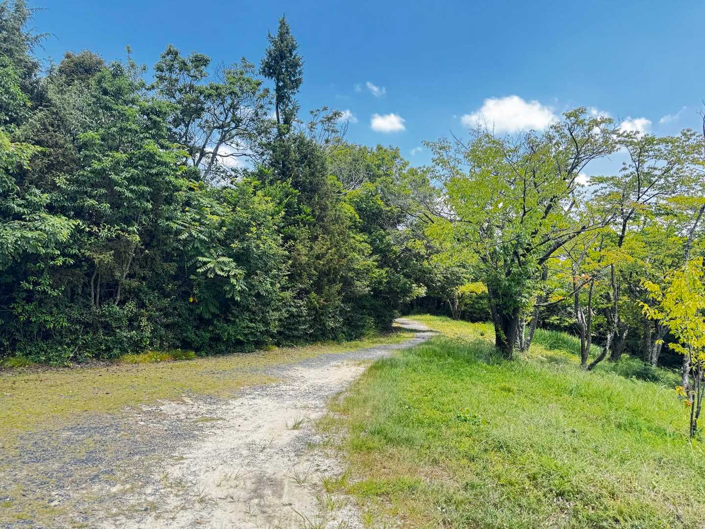 ここがYAMAPでは鬼城山山頂らしいけど、
目印になるもの何も無し(｀・∀・´)