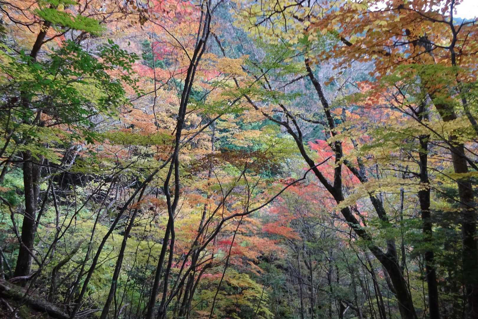 降りながらも撮影