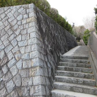 登山口、案内板等はありません