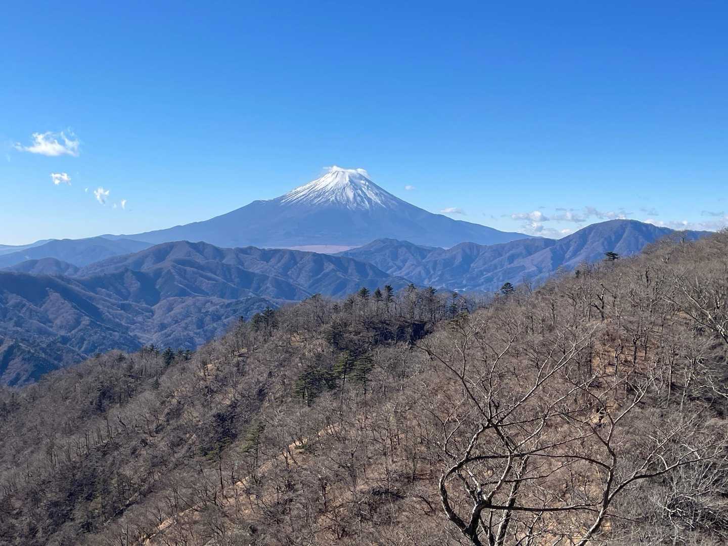 これコレ🗻