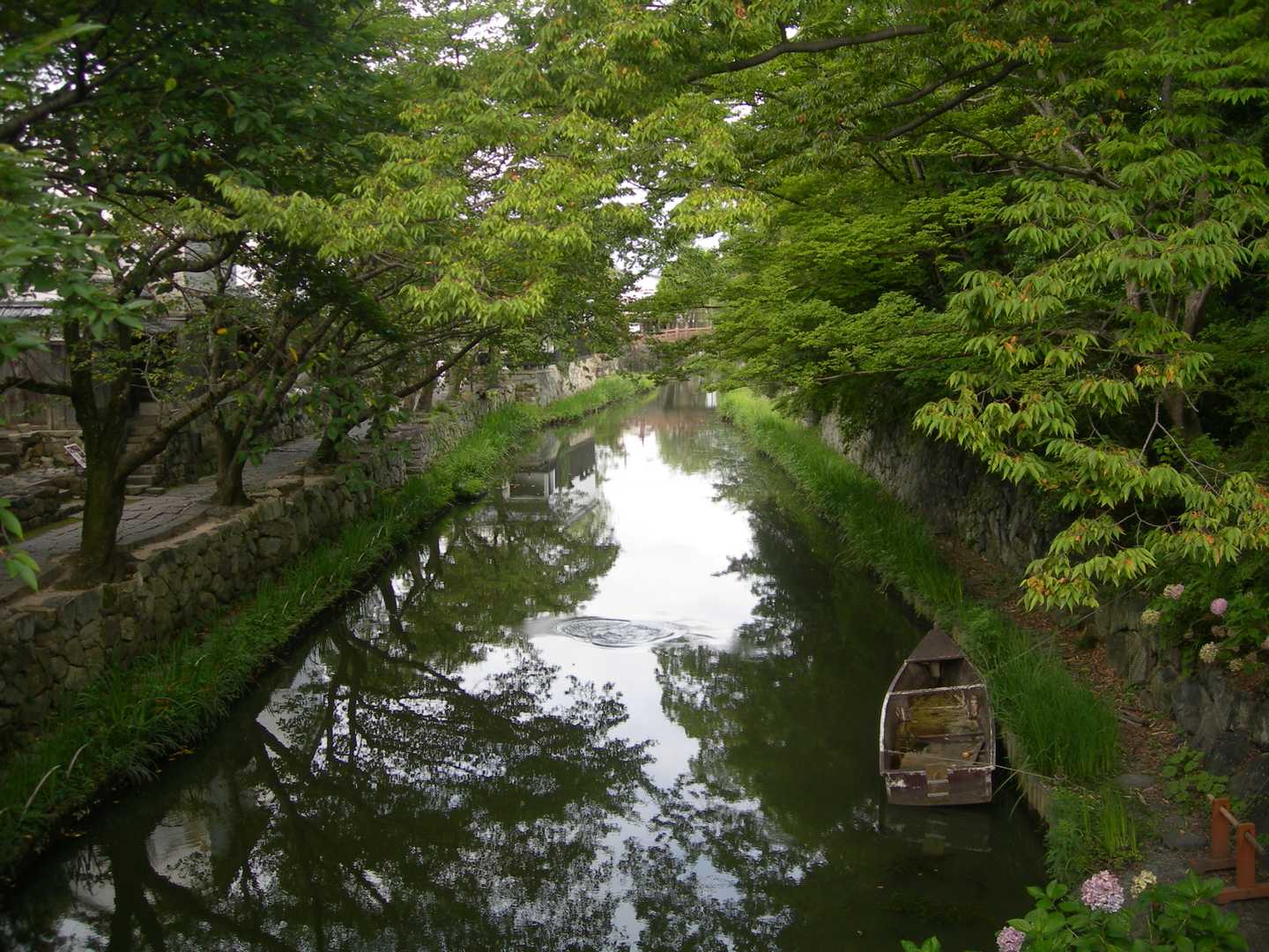 鶴翼山 往復コースの写真