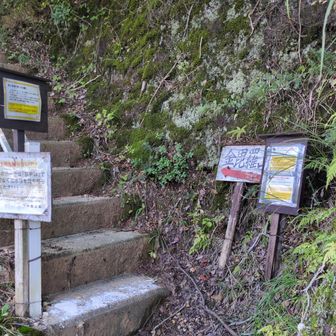 登山道への入口