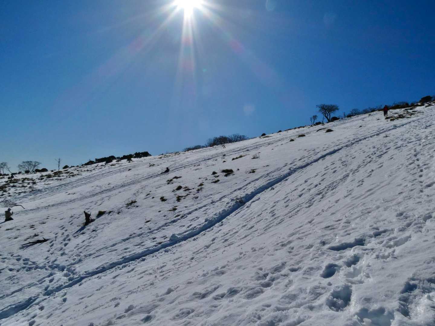 ソリ🛷遊びしてる人がいます😊
私も下山は滑るよ😁