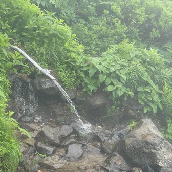 錫杖清水で喉の渇きを潤す