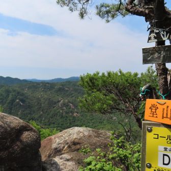 堂山384ｍ登頂～～！🙌
なかなか険しいけどすっごく楽しい！
低山とは思えない歩きごたえ、見ごたえ、遊びごたえ🎶