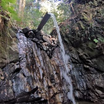 滝行の場所みたい