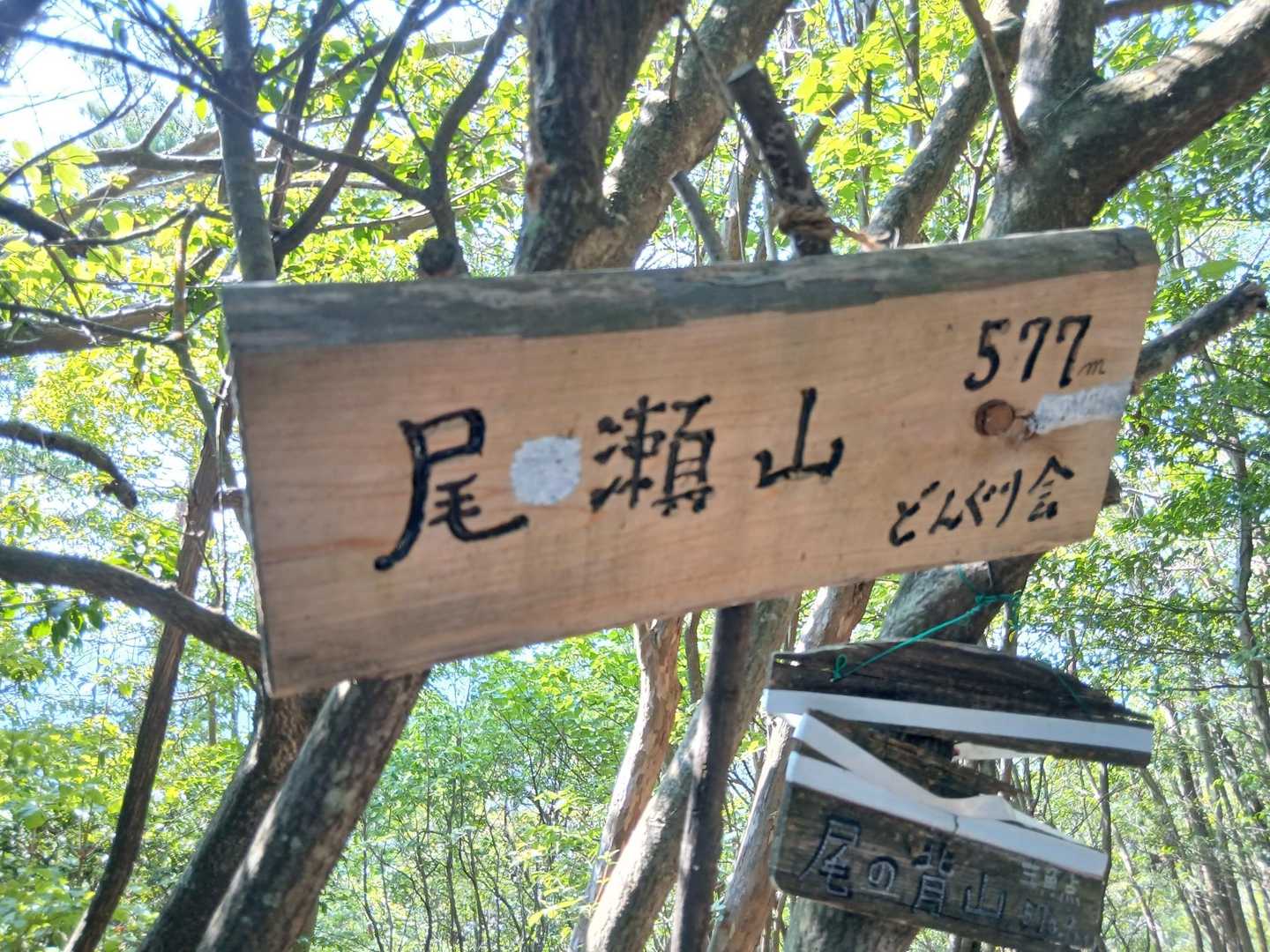 頂上　展望なし