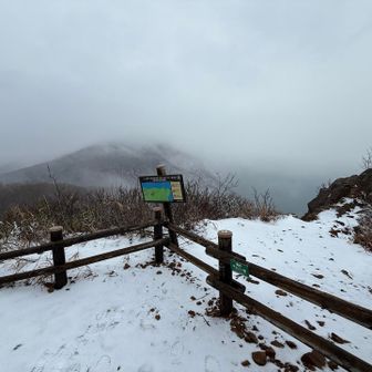 少しずつ晴れる時間が出てきました