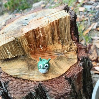 トトロがいます。予想よりちっちゃい😆