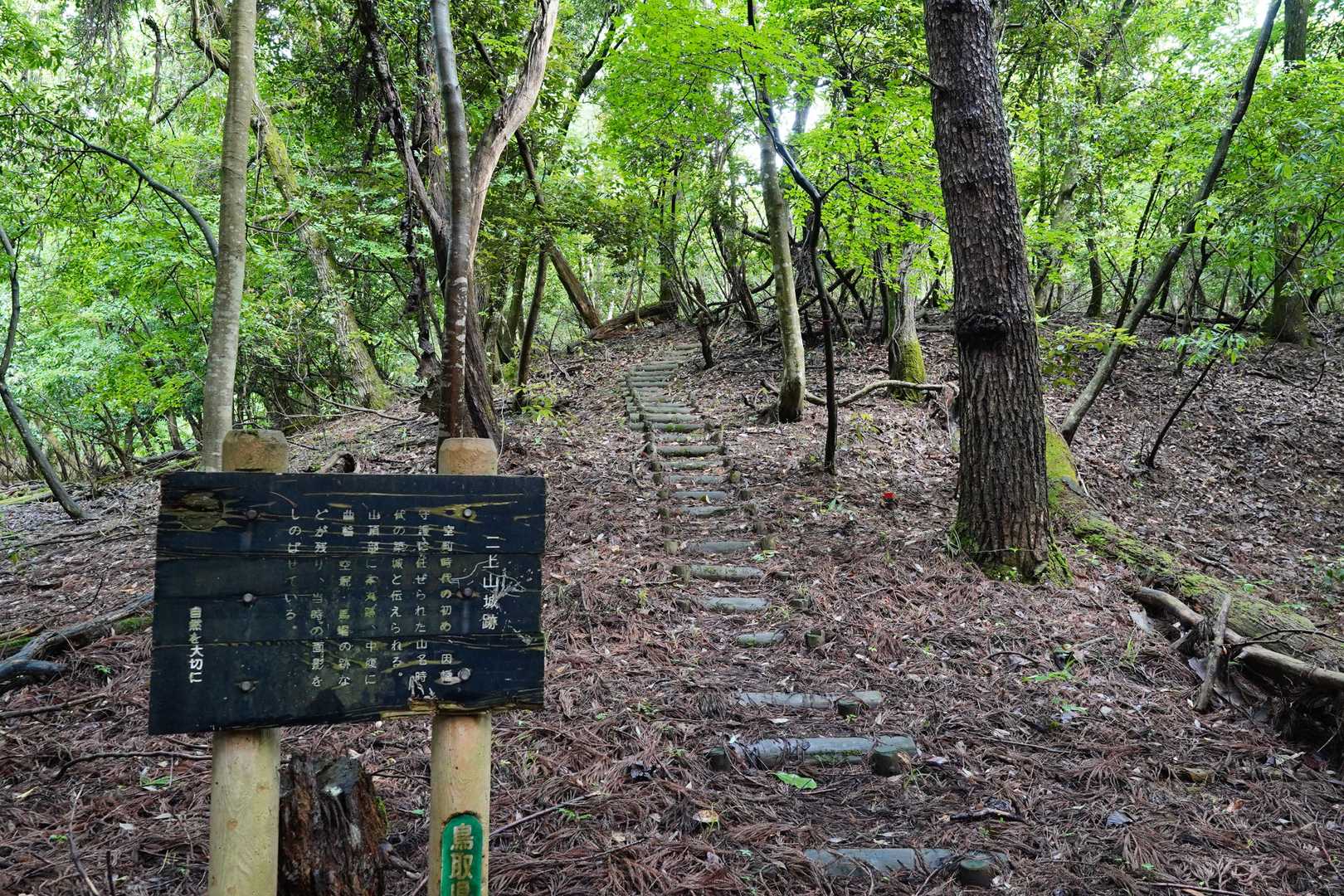 全般的に整備されて歩きやすい登山道です