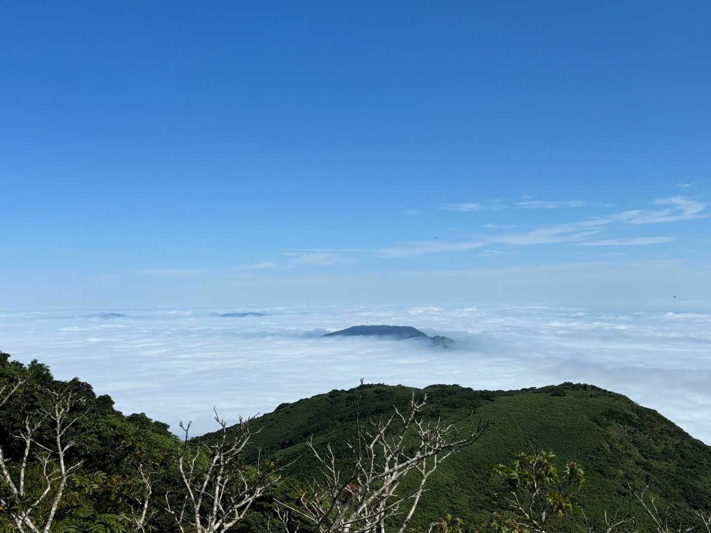 雲海の水位が上がってきてる？
頭が見えにくくなってきてる。