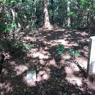 赤坂山は三角点のみ