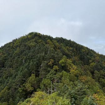 笊ヶ岳