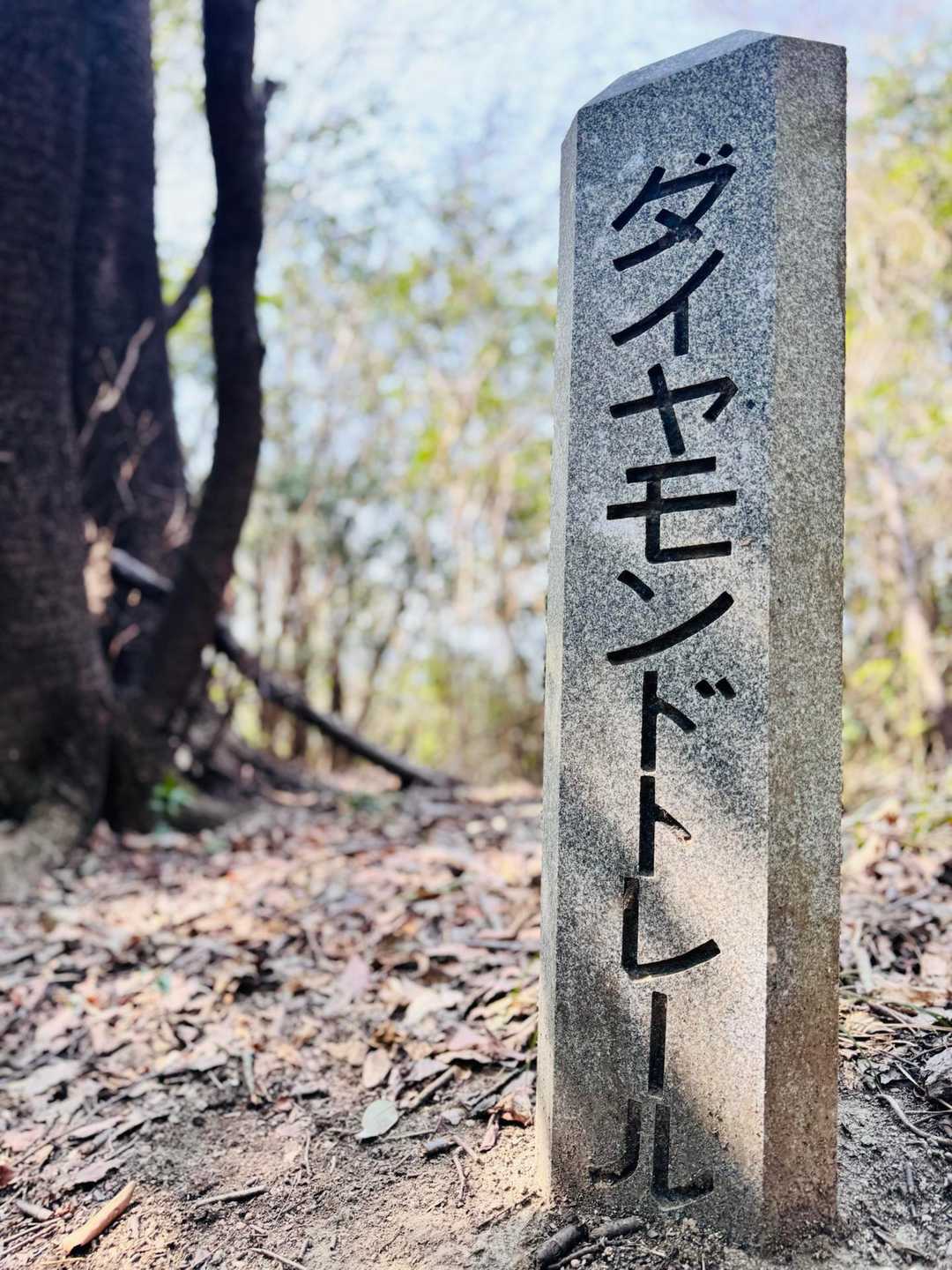 また撮っちゃった🤳