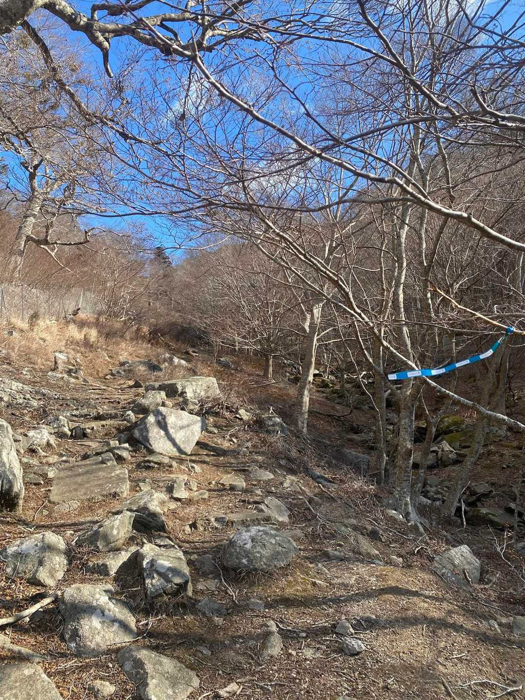 さあ、金華山⛰️山頂へ