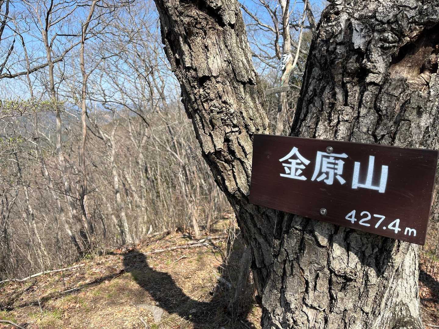 今日はここで折り返し