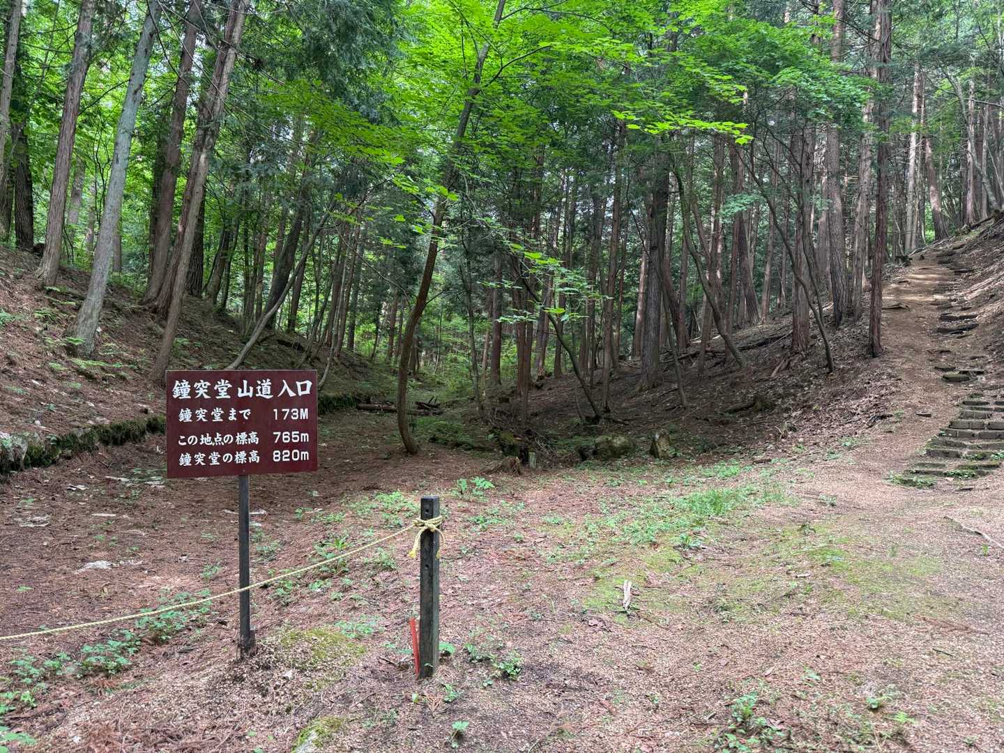 とても綺麗〜に整備されている✨