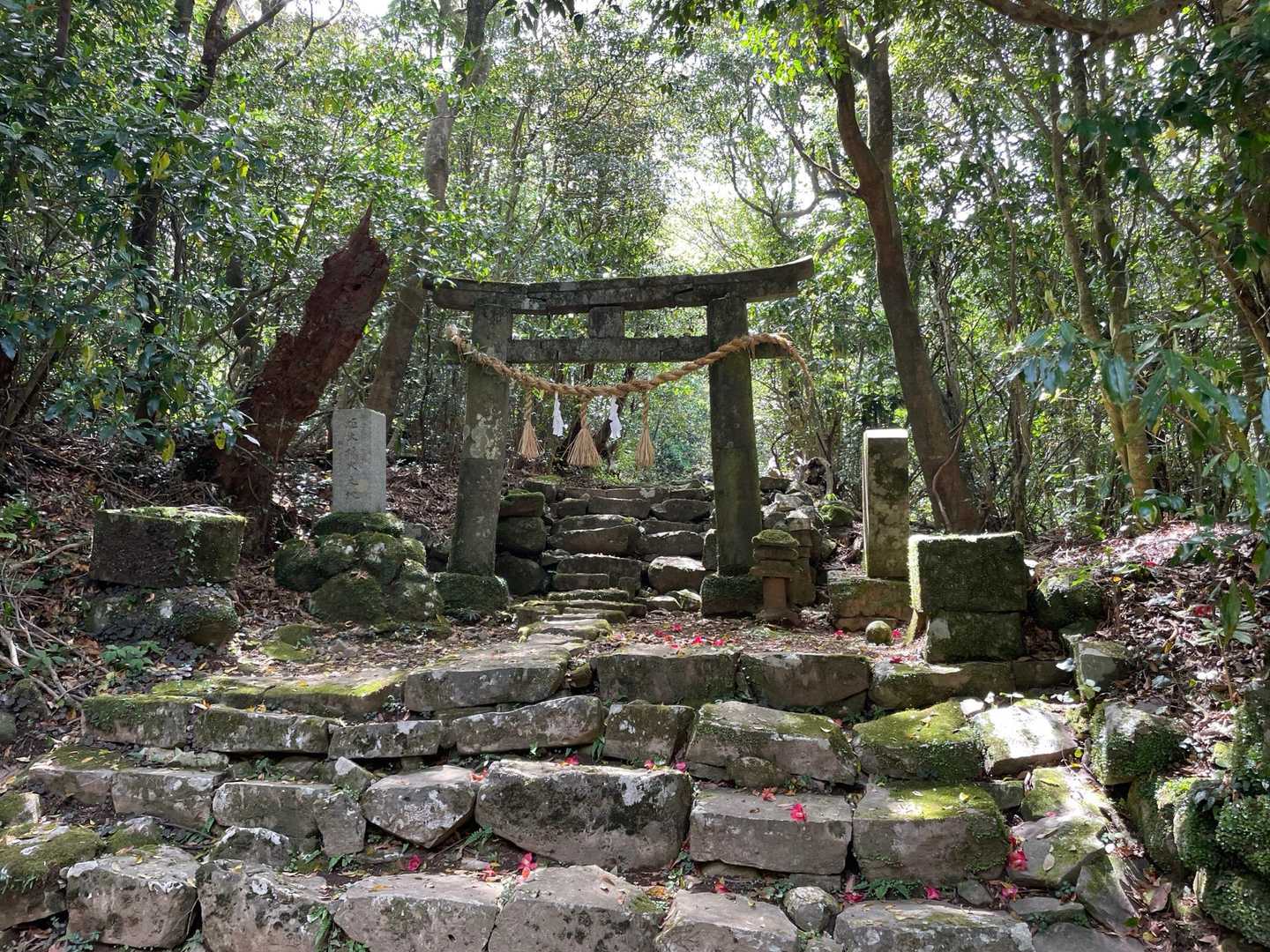 休憩所へ続く道への入り口