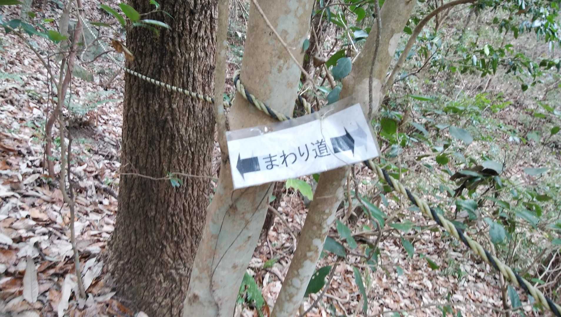 所々には回り道も有ります