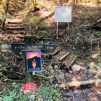 登山口です