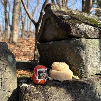 ダルマさんと干からびたお供え