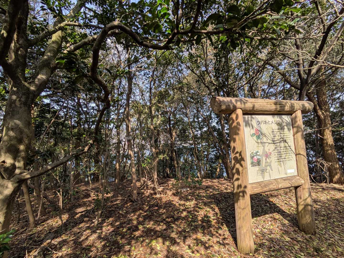 中弥山