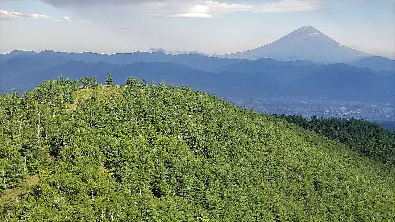 甘利山と富士子さん
