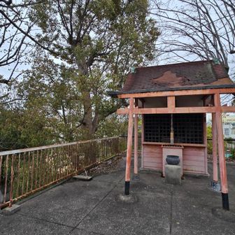 ここが聖天山山頂