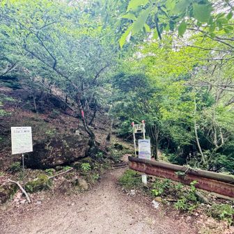 涼しいのでヒルルンもいませんでした
ちなみに先日のナンシーにやられた箇所は
多少の腫れはありますが全く痒くないので
早く完治しそうです
登山口へ戻ってきましてお疲れ様でしたー