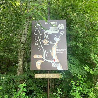 下山はひたすらくだります。
緑の中🌲
とっても気持ちがいい。

ただいまー