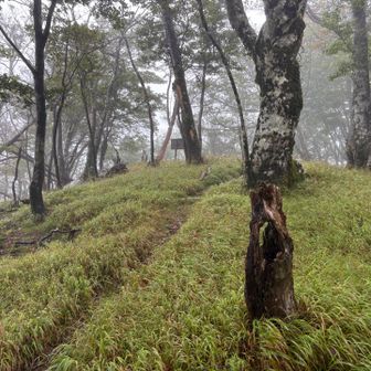 あれ？下山して1分