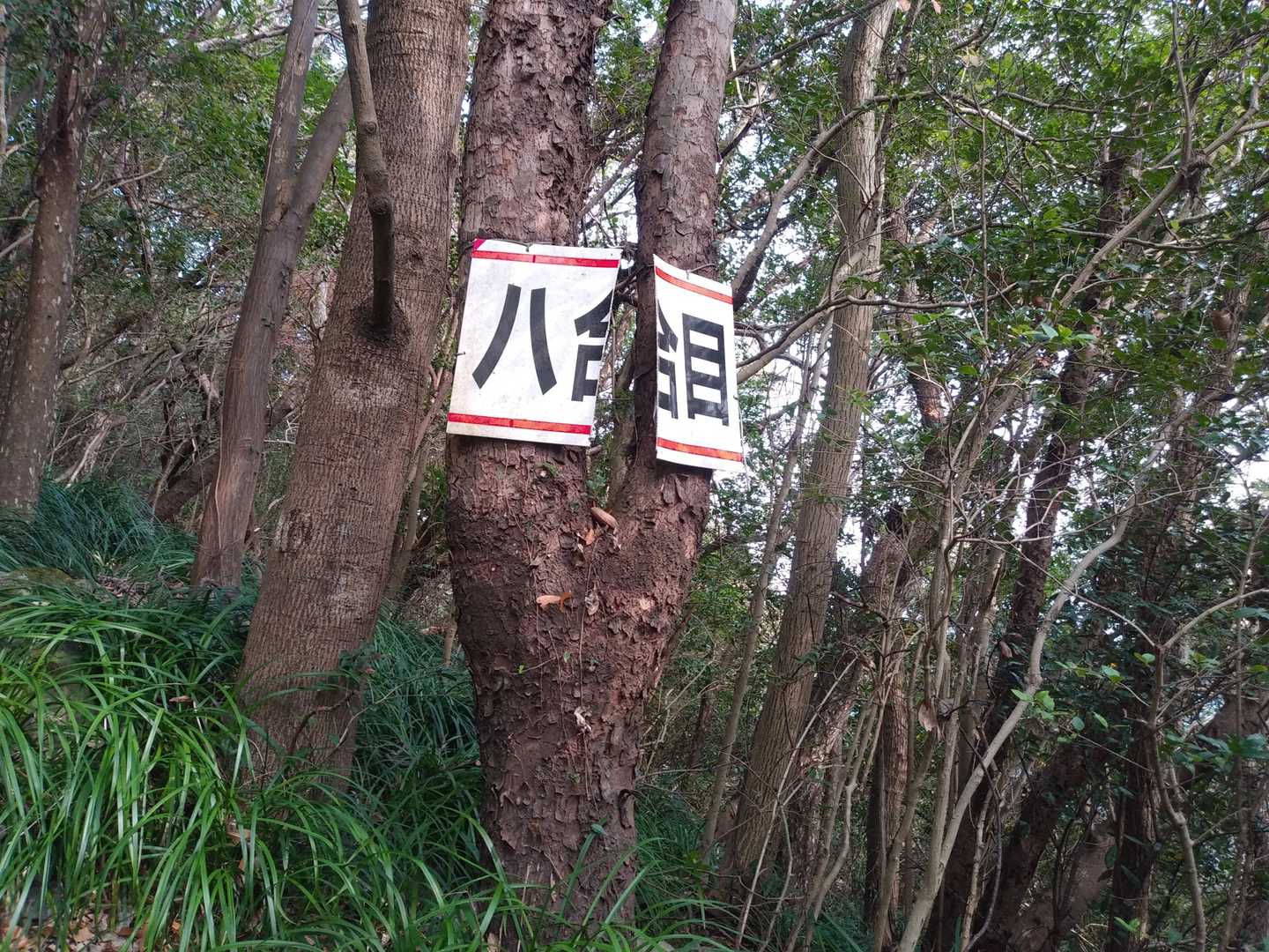 八合目、割れとるやないかい。
