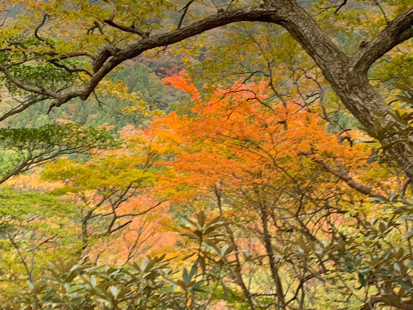もう帰りたくありません。