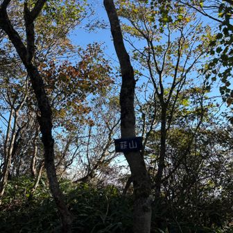薪山