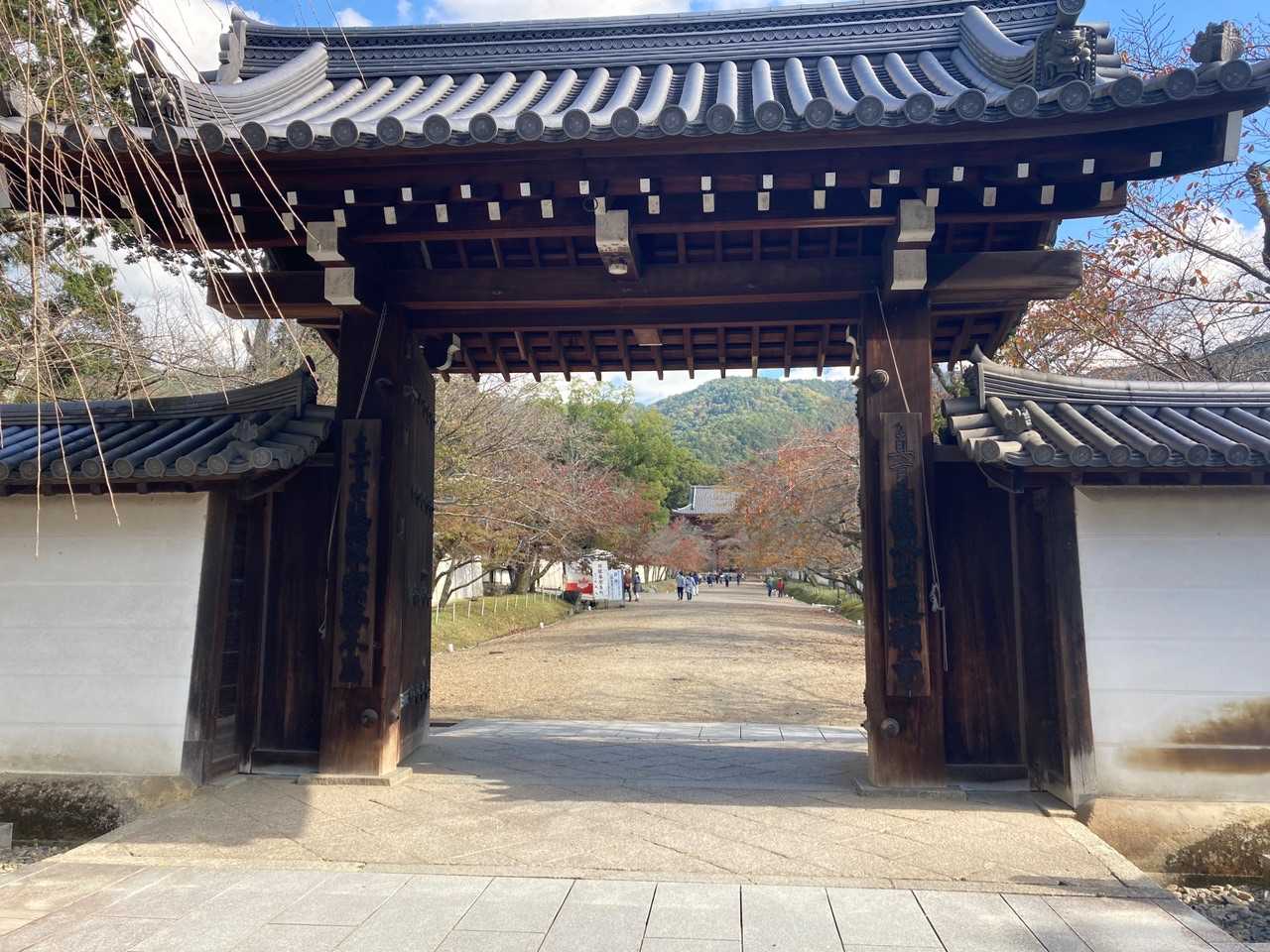 醍醐山-横嶺峠-高塚山 周回コースの写真