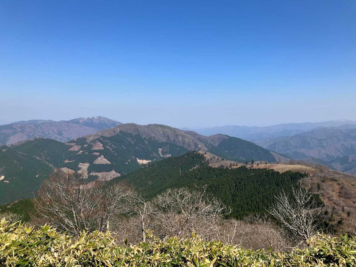 三室山登山口-三室山 往復コースの写真