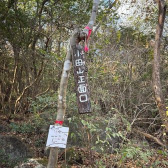 ひゃーひゃー言いながらも無事下りて来ました😎😊
ここから林道を歩いて駐車場にもどりYAMAP終了！
小田山⛰️モアイ岩に寄れなくてモアイの天使に会えなかったのが少し心残りですが、とても良いお山でした♪楽しかったーーー！
ちなみに今回は筋肉痛はナシ👍でした

昨日までの寒波が緩んで、暖かかった今日
♨️で汗を流してさっぱり🤗
私のワイルドな運転で帰路につきました🚙💨
楽しかった一日に感謝です