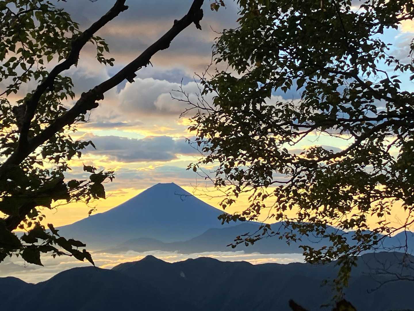 奈良田バス停-ゲート-大門沢登山道入口-農鳥岳 往復コースの写真