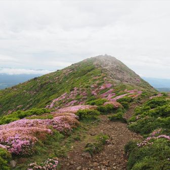 久住山山頂に向かいます…