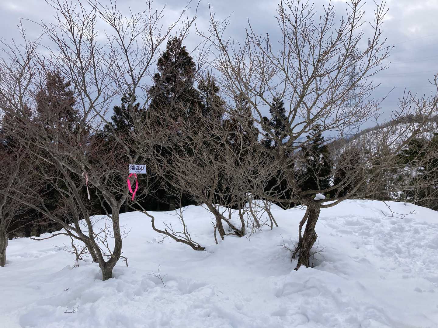 笹津山山頂🏔到着～。山頂では女性の方お2人が大きなワンちゃん連れておられて結局、すれ違った登山者3名のみでした