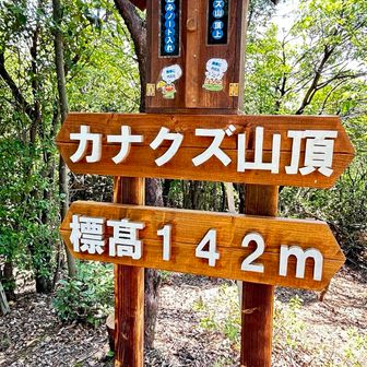 手入れ行き届いてる