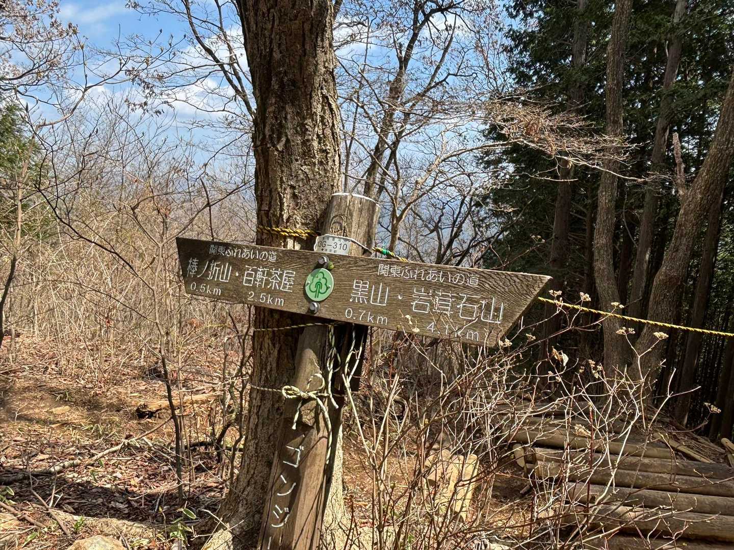ゴンジリ峠、あと少しで山頂です