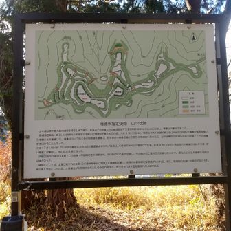 説明がありました。
徳川家康も使ってたみたい。
今は豊臣兄弟見てます。